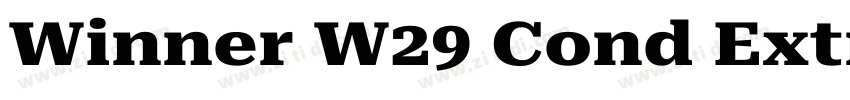 Winner W29 Cond Extr字体转换